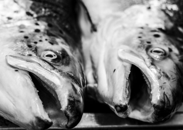 Galleria-Restaurant-in-Rome-Life-Studio-ControLuz-©-04