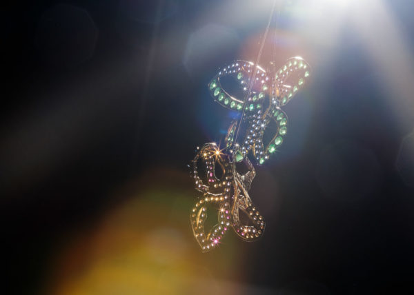 Arriga-Jewelry-Roma-Studio-ControLuz-©-11