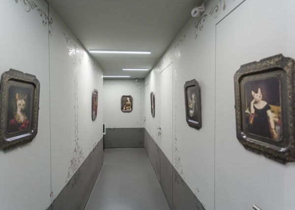 Boutique-rooms-BB-Rome-Studio-ControLuz-©-14