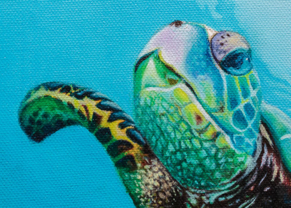 Sara-Gionetti-Roma-Studio-ControLuz-©-05