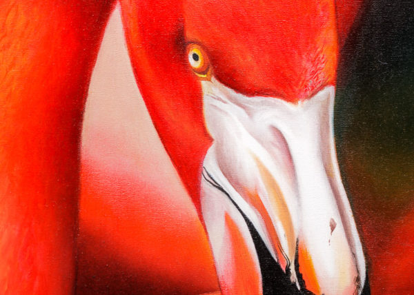 Sara-Gionetti-Roma-Studio-ControLuz-©-05