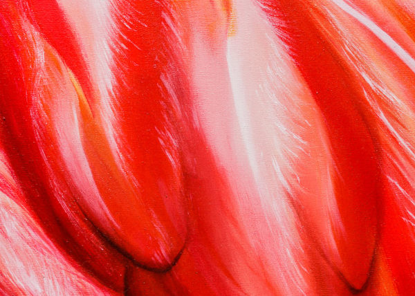 Sara-Gionetti-Roma-Studio-ControLuz-©-05